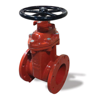 Ductile Iron Flanged Open Gate Valves